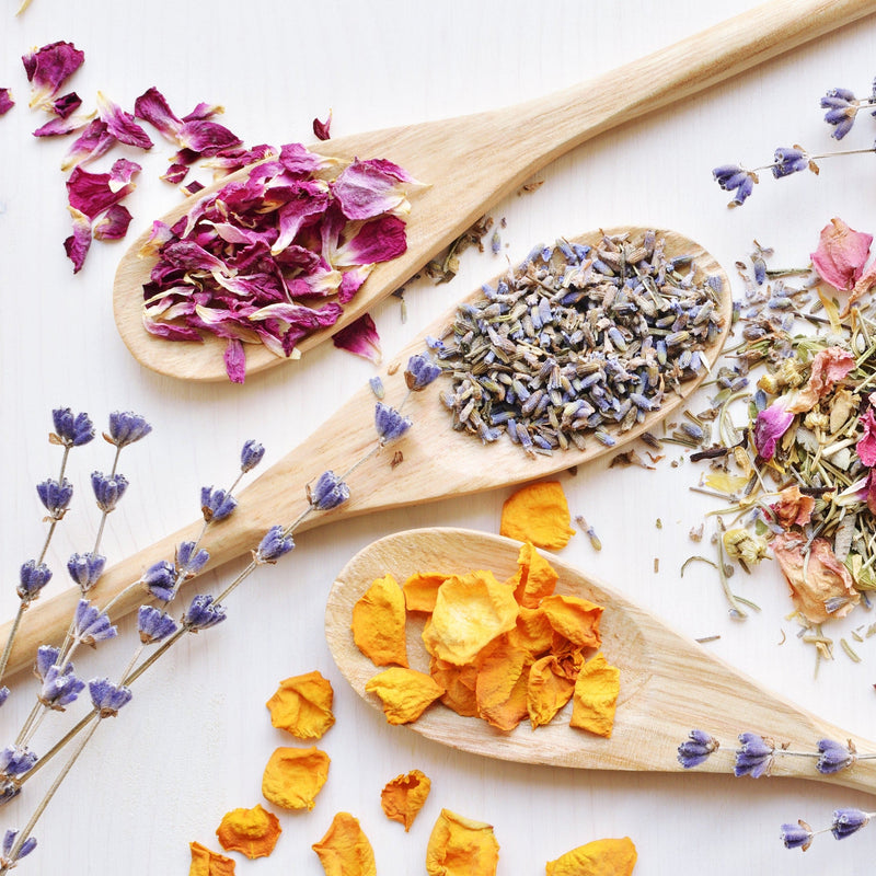 Pussy Practitioner Program - AshleyAsatu