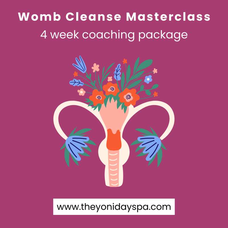 Womb Cleanse Masterclass